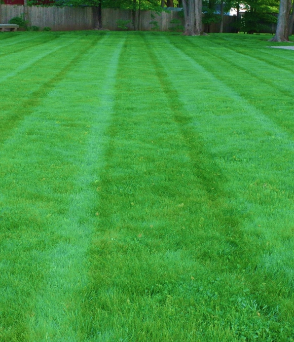 Lawn Mowing service slider
